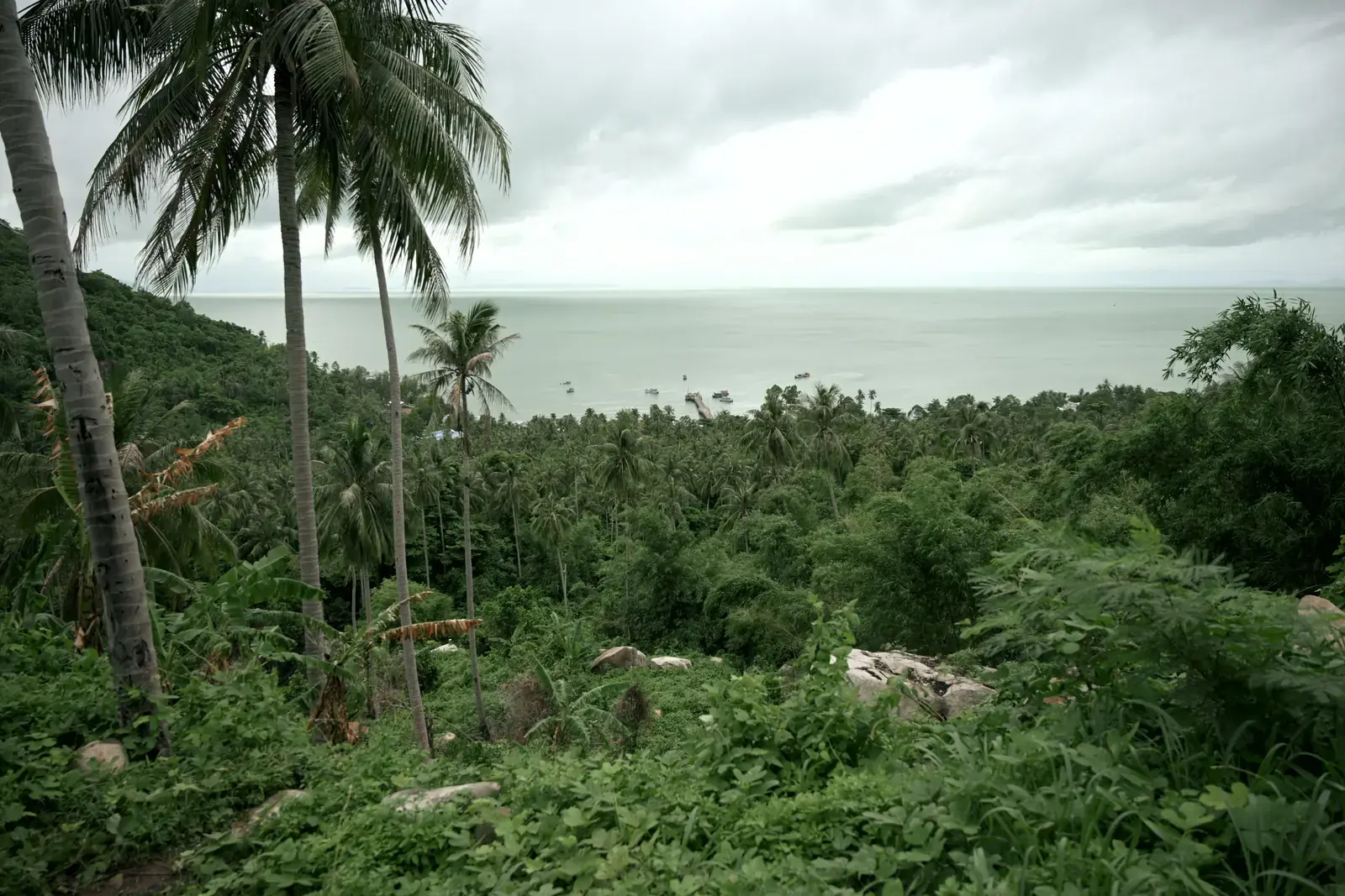 Kiên Giang --- photo 7