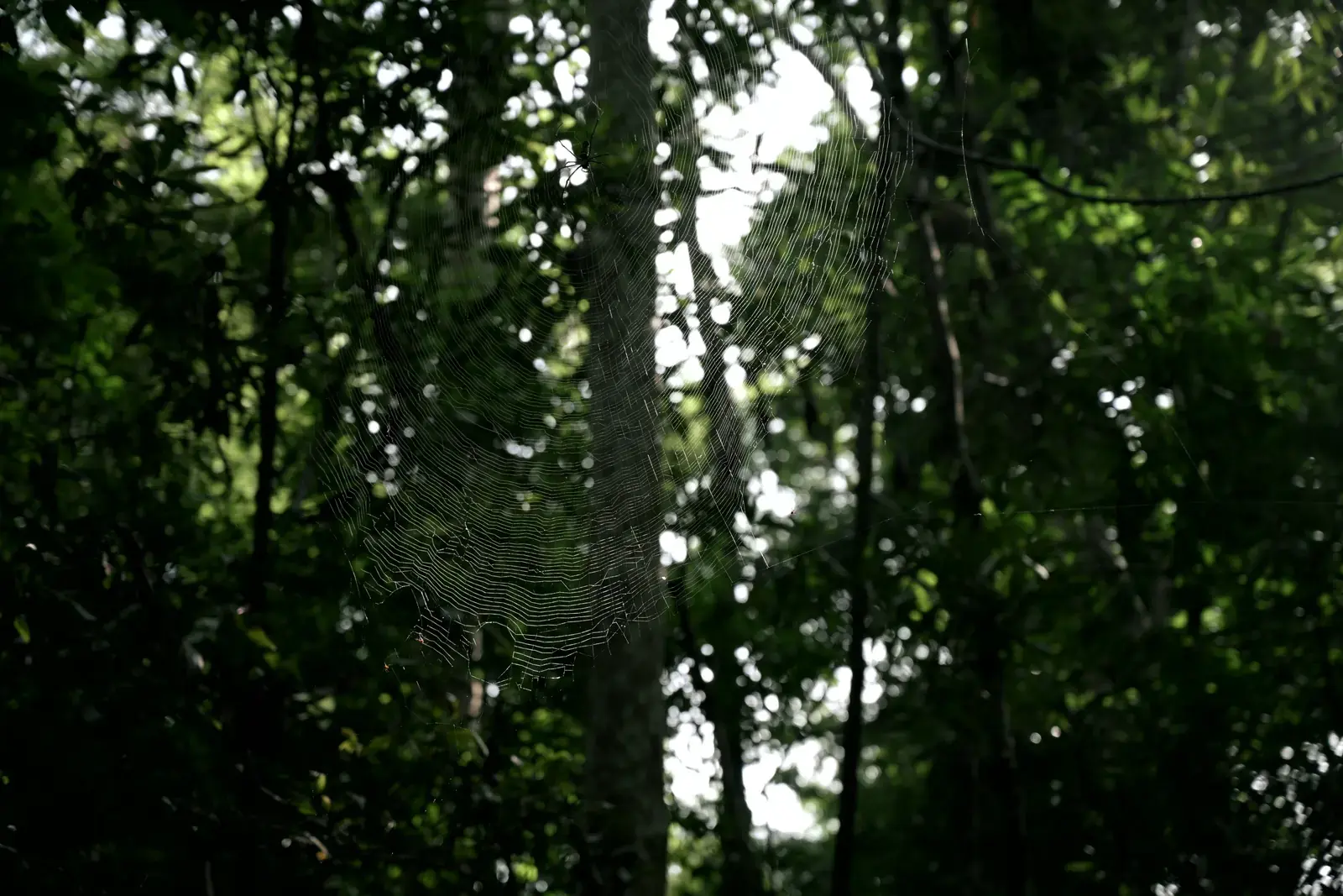 Đắk Nông --- photo 2