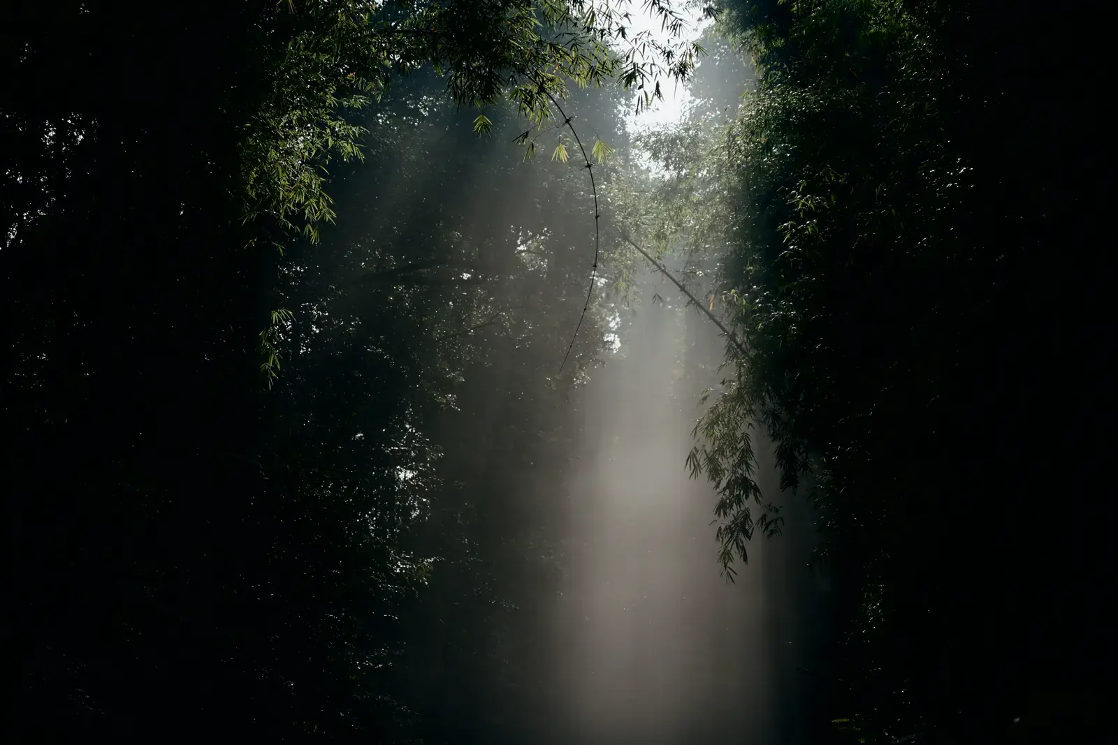 Đắk Nông --- photo 1