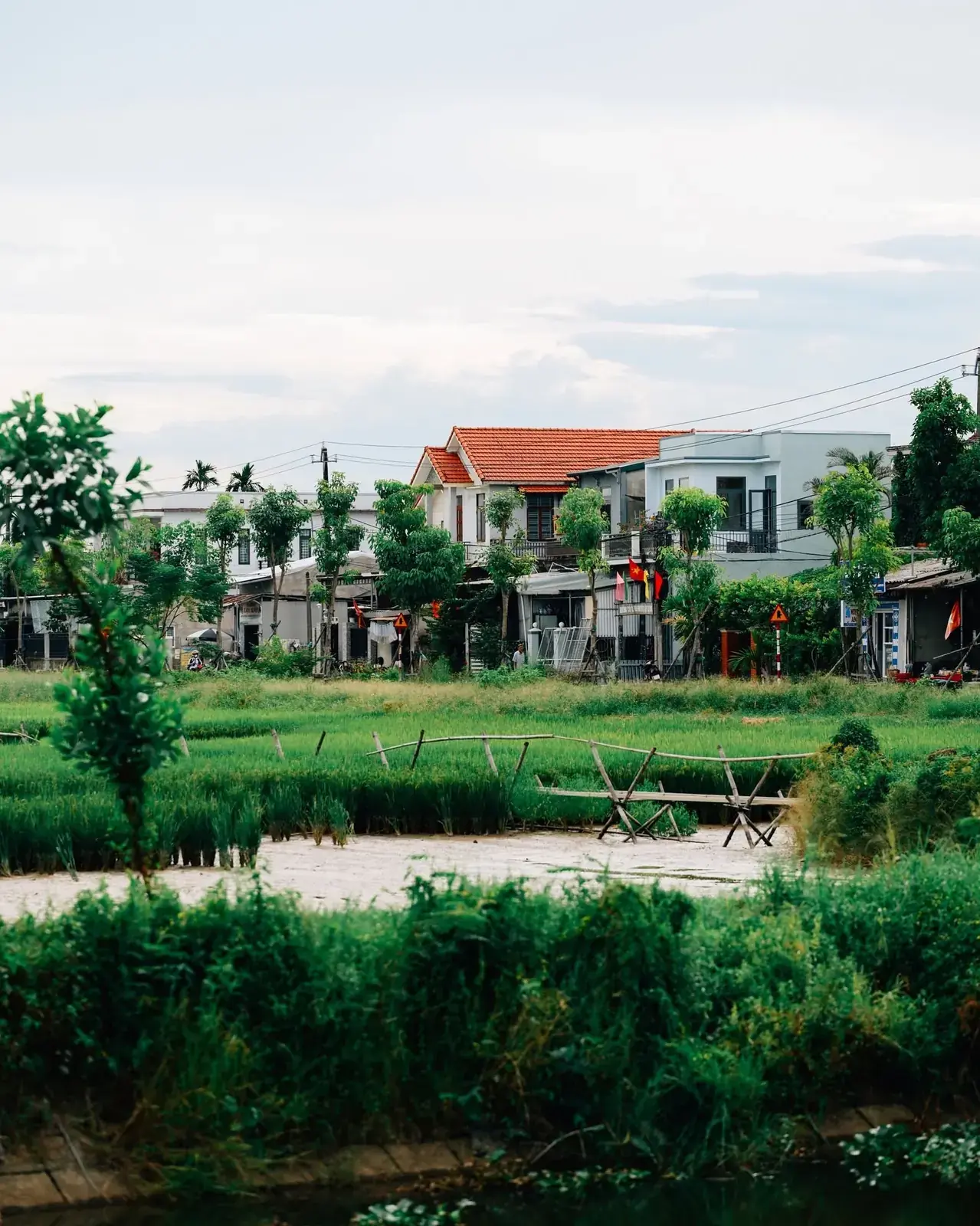 Huế --- photo 2