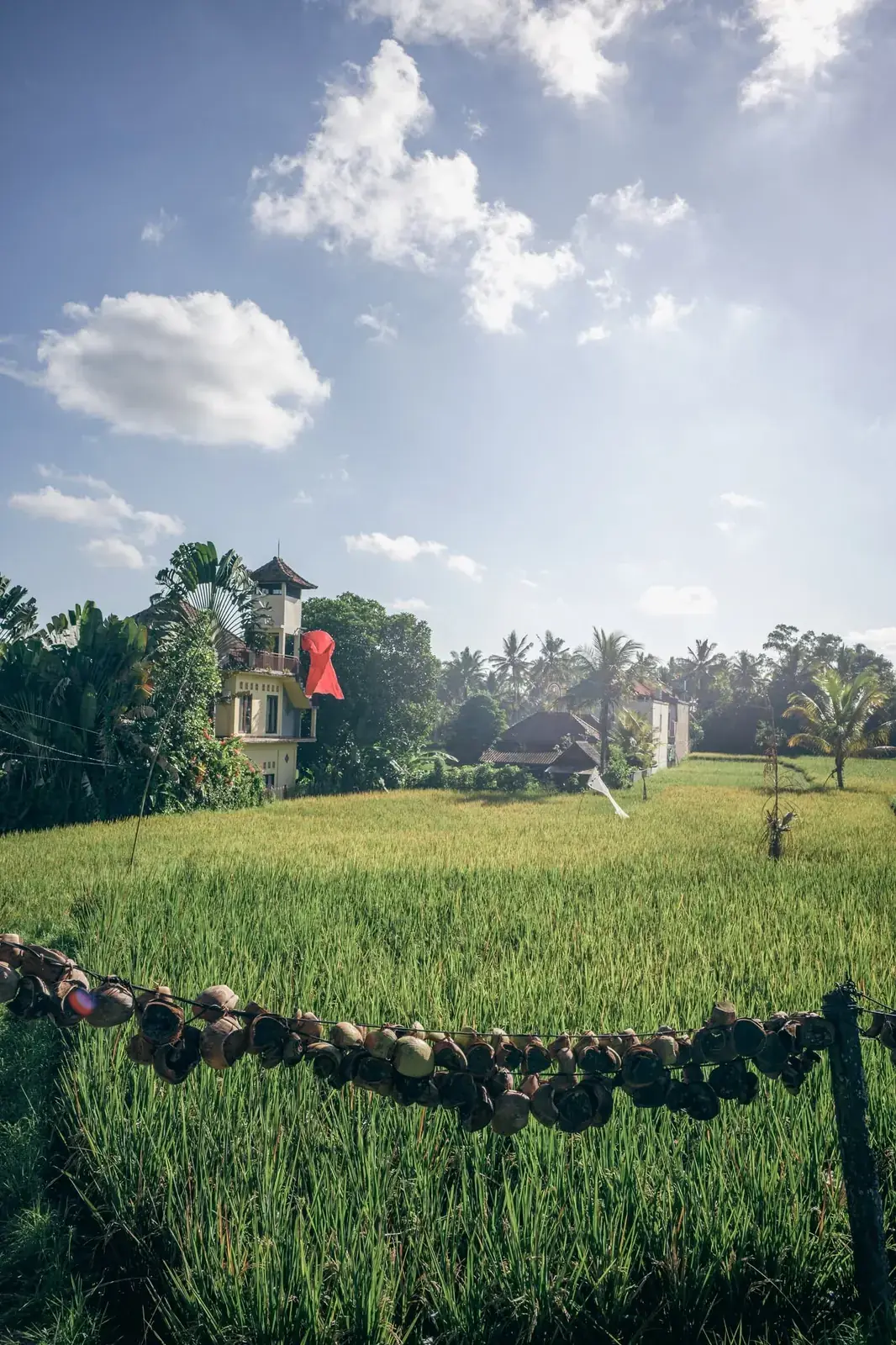 Bali --- photo 7