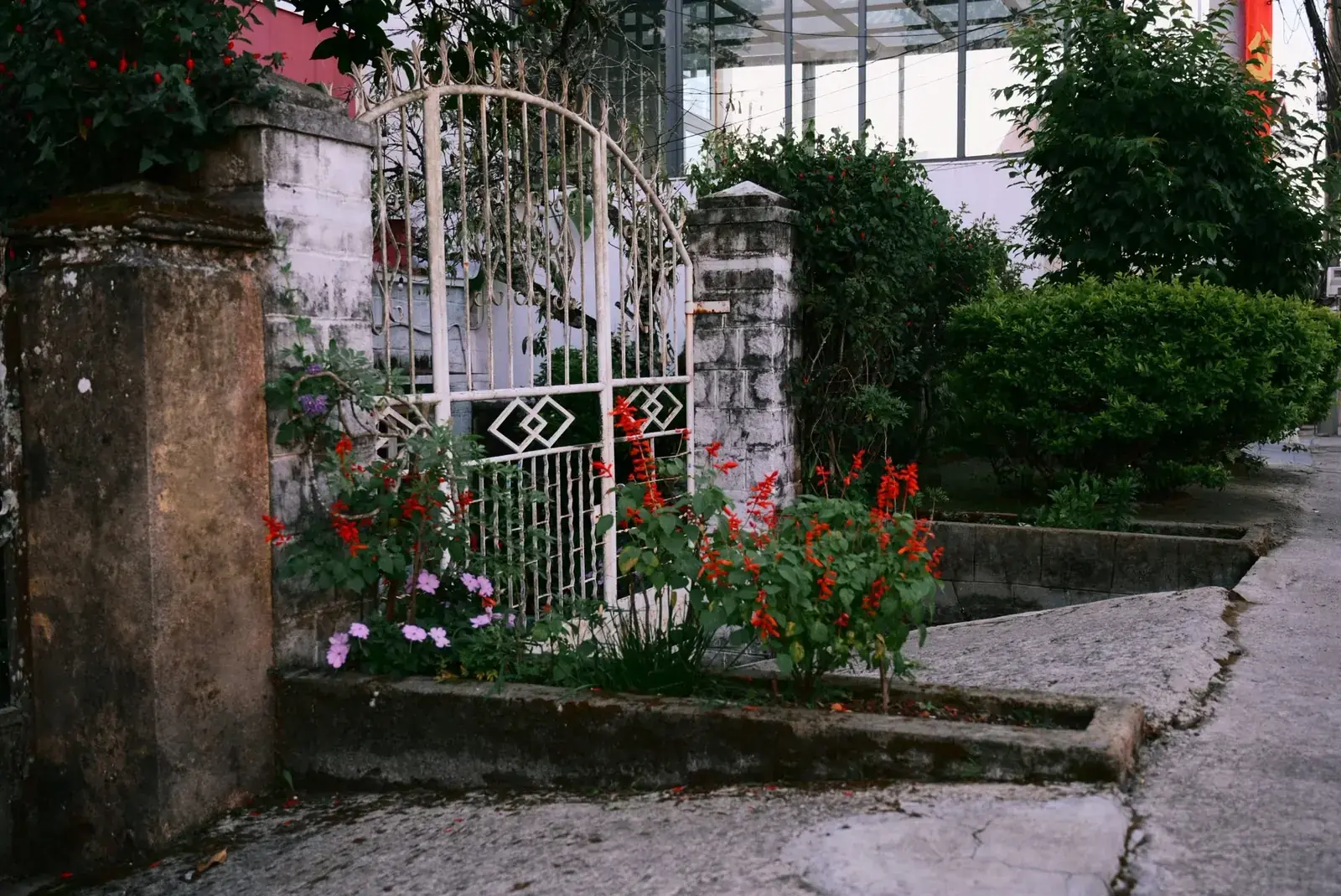Đà Lạt --- photo 2