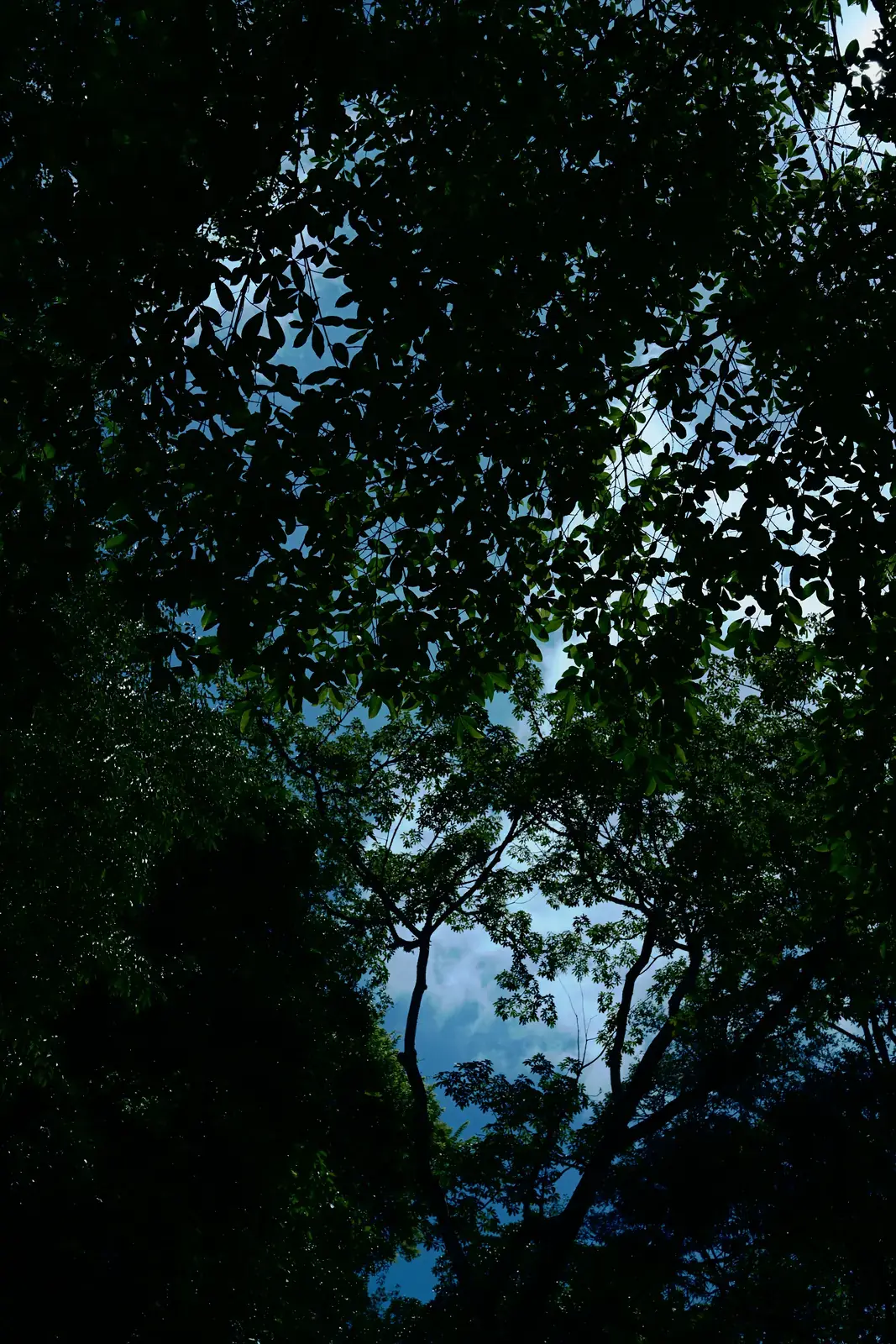 Đắk Nông --- photo 6