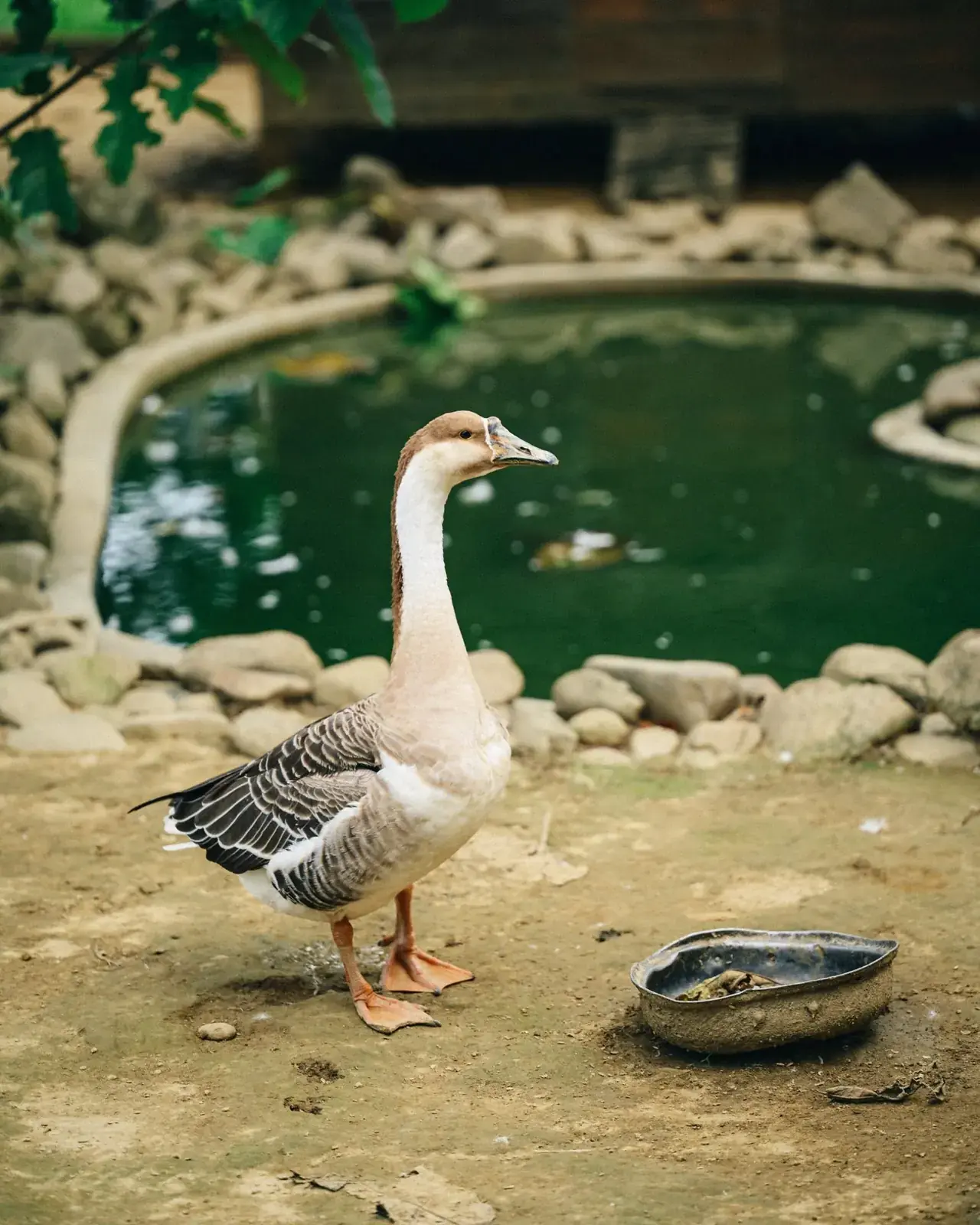 Đà Nẵng --- photo 15
