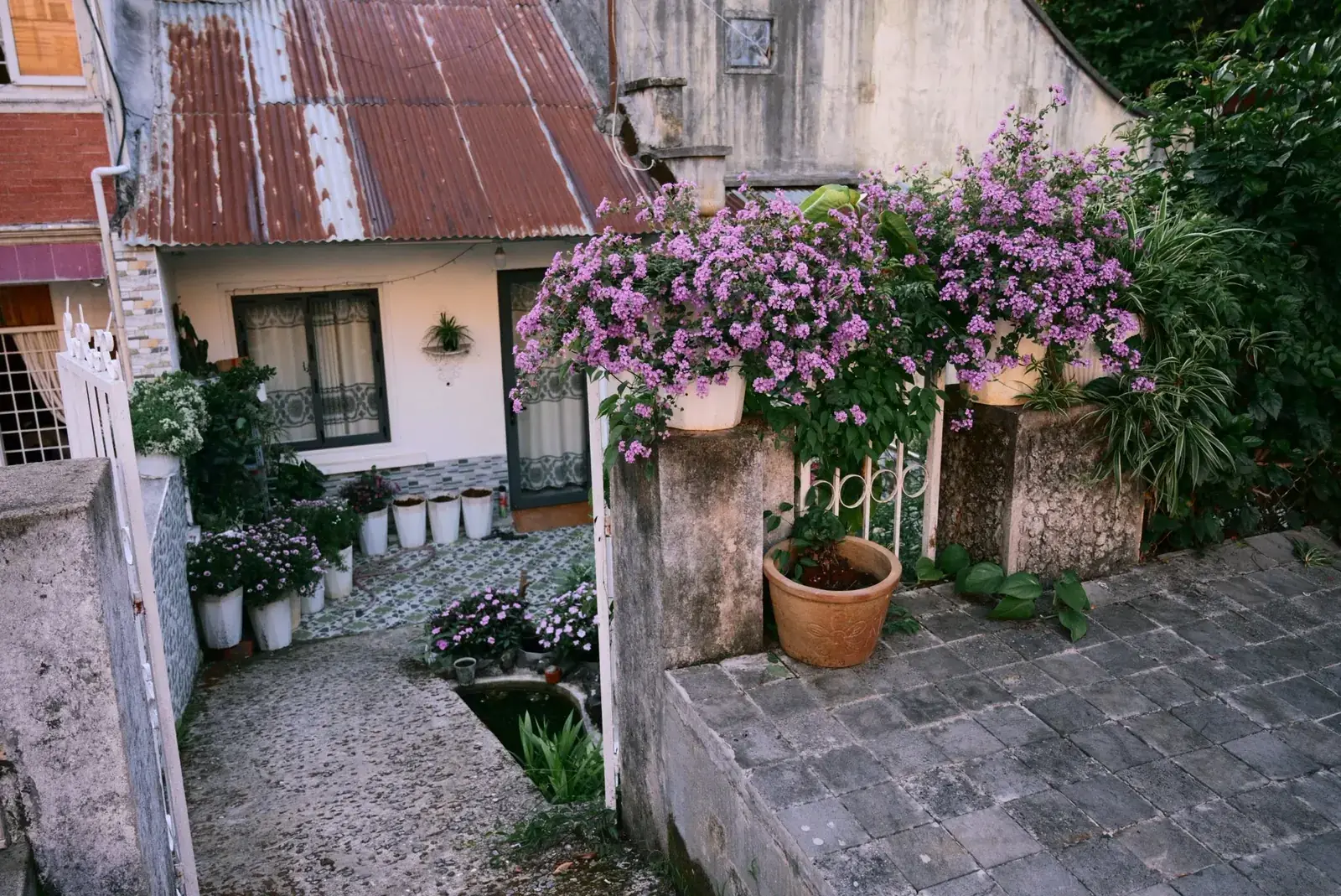 Đà Lạt --- photo 3