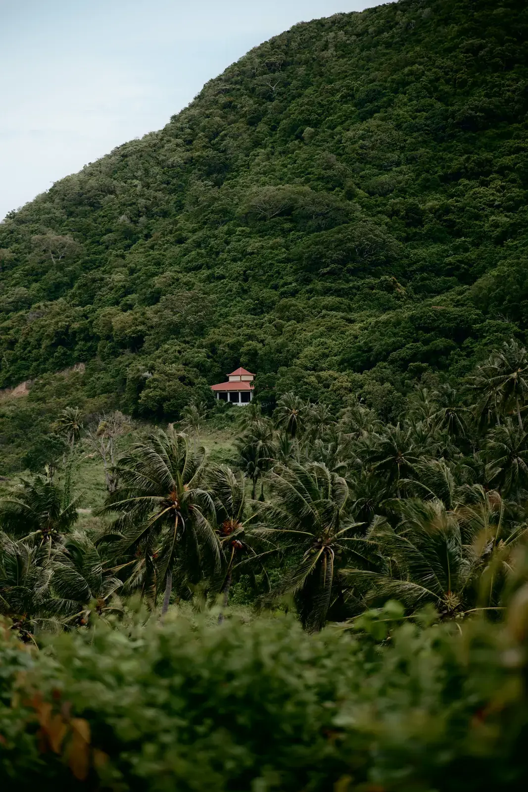 Kiên Giang --- photo 3