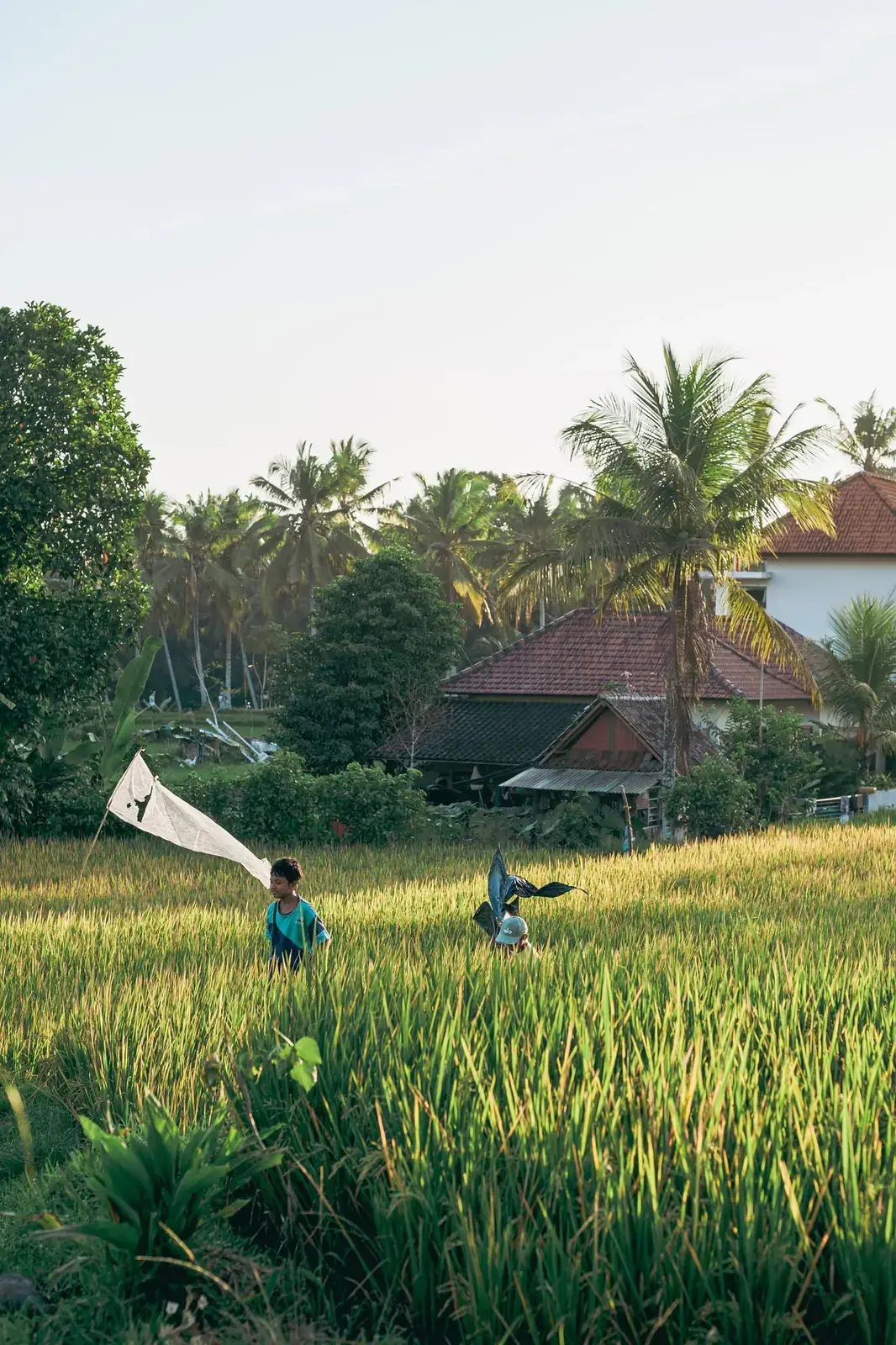 Bali --- photo 9