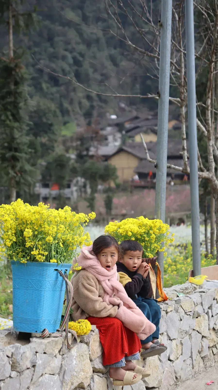 Hà Giang --- photo 4