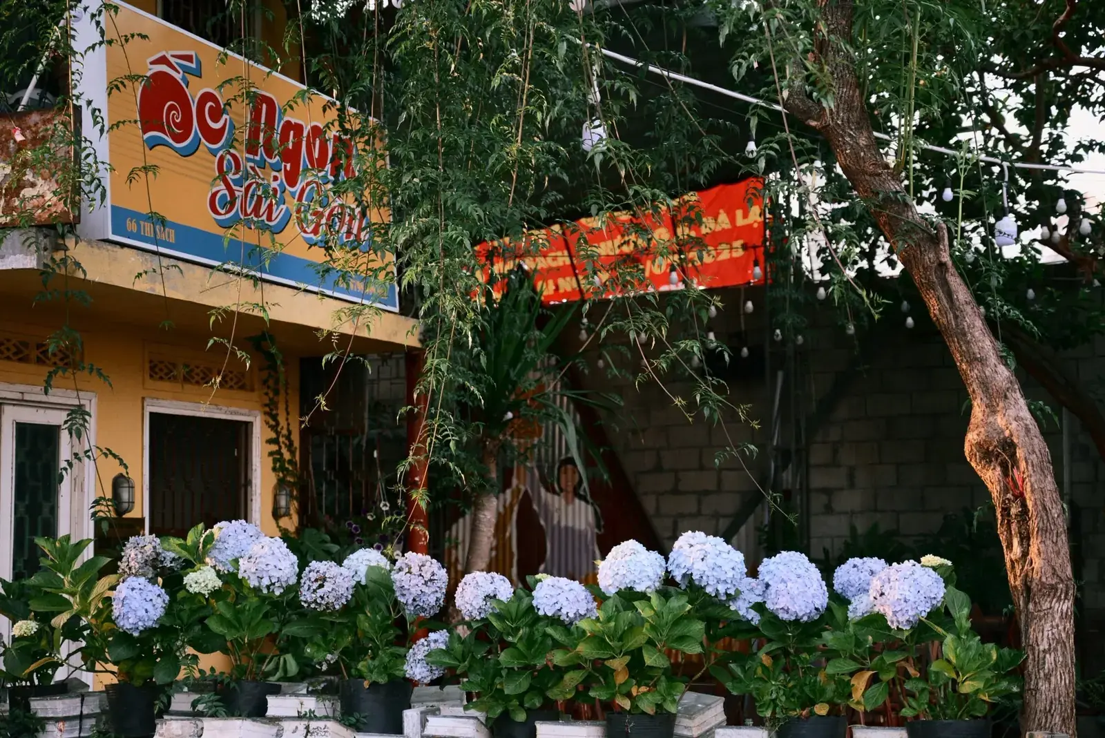Đà Lạt --- photo 1
